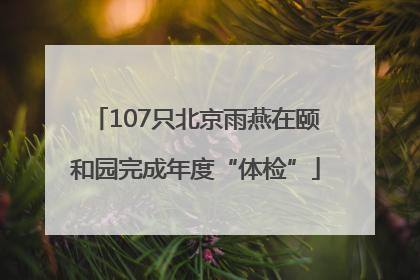 107只北京雨燕在颐和园完成年度“体检”