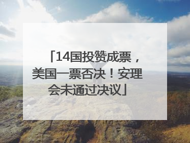 14国投赞成票，美国一票否决！安理会未通过决议