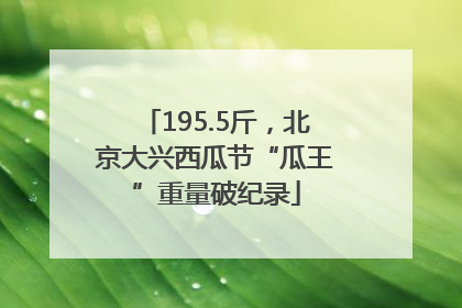 195.5斤，北京大兴西瓜节“瓜王”重量破纪录