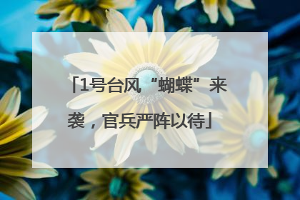 1号台风“蝴蝶”来袭，官兵严阵以待
