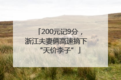 200元记9分，浙江夫妻俩高速摘下“天价李子”