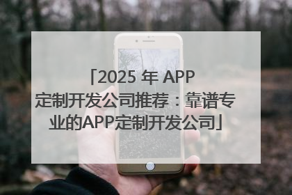 2025 年 APP 定制开发公司推荐：靠谱专业的APP定制开发公司