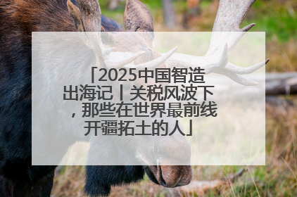 2025中国智造出海记丨关税风波下，那些在世界最前线开疆拓土的人