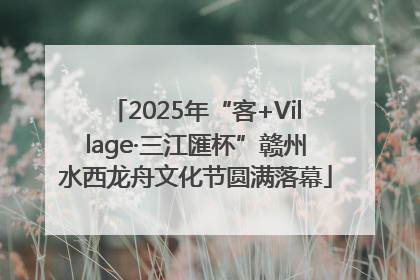 2025年“客+Village·三江匯杯”赣州水西龙舟文化节圆满落幕