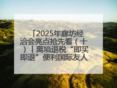 2025年廊坊经洽会亮点抢先看（十）丨离境退税“即买即退”便利国际友人“买买买”