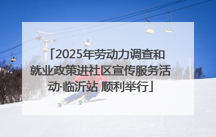 2025年劳动力调查和就业政策进社区宣传服务活动·临沂站 顺利举行