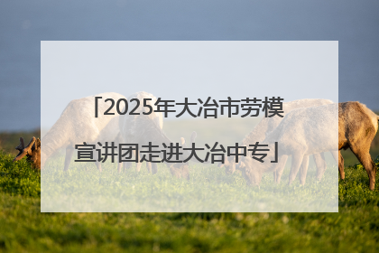 2025年大冶市劳模宣讲团走进大冶中专