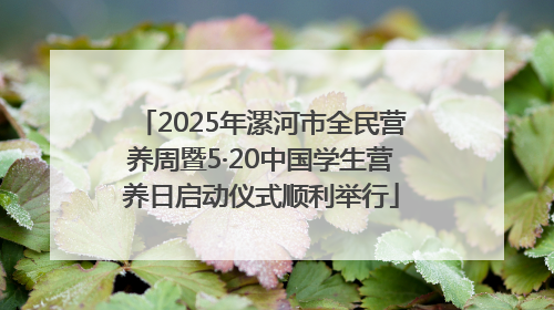 2025年漯河市全民营养周暨5·20中国学生营养日启动仪式顺利举行