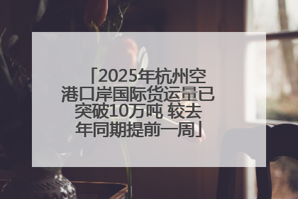 2025年杭州空港口岸国际货运量已突破10万吨 较去年同期提前一周