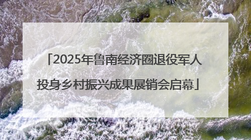 2025年鲁南经济圈退役军人投身乡村振兴成果展销会启幕