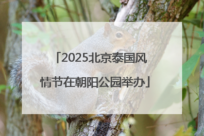 2025北京泰国风情节在朝阳公园举办