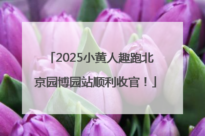 2025小黄人趣跑北京园博园站顺利收官！