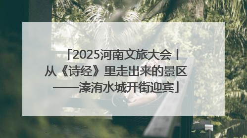 2025河南文旅大会丨从《诗经》里走出来的景区——溱洧水城开街迎宾