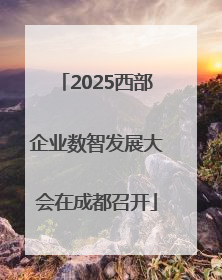 2025西部企业数智发展大会在成都召开