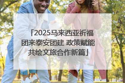 2025马来西亚祈福团来泰安团建 政策赋能共绘文旅合作新篇