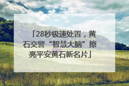 28秒极速处置，黄石交警“智慧大脑”擦亮平安黄石新名片
