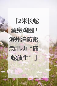 2米长蛇藏身鸡圈！滨州消防紧急出动“捕蛇放生”