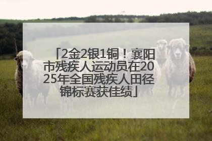2金2银1铜！襄阳市残疾人运动员在2025年全国残疾人田径锦标赛获佳绩