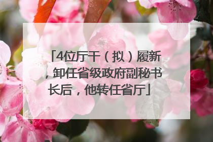 4位厅干（拟）履新，卸任省级政府副秘书长后，他转任省厅