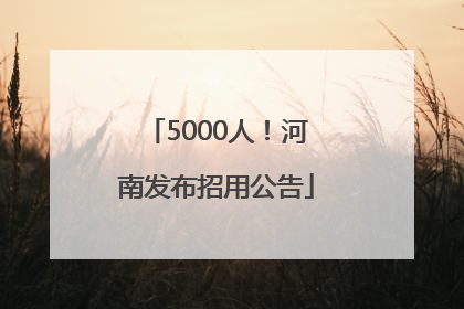 5000人！河南发布招用公告