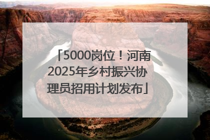 5000岗位！河南2025年乡村振兴协理员招用计划发布