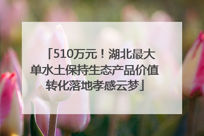 510万元！湖北最大单水土保持生态产品价值转化落地孝感云梦
