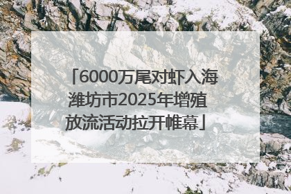 6000万尾对虾入海 潍坊市2025年增殖放流活动拉开帷幕