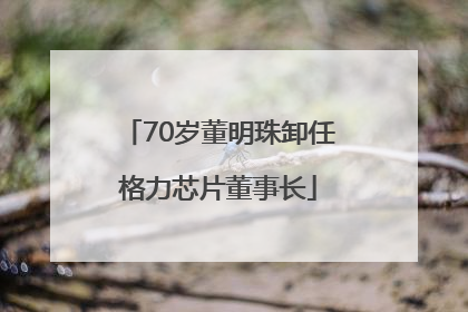 70岁董明珠卸任格力芯片董事长