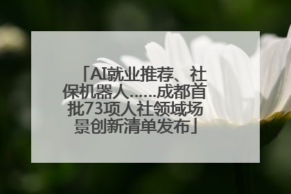 AI就业推荐、社保机器人……成都首批73项人社领域场景创新清单发布