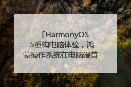HarmonyOS 5重构电脑体验，鸿蒙操作系统在电脑端首次亮相丨新经济观察